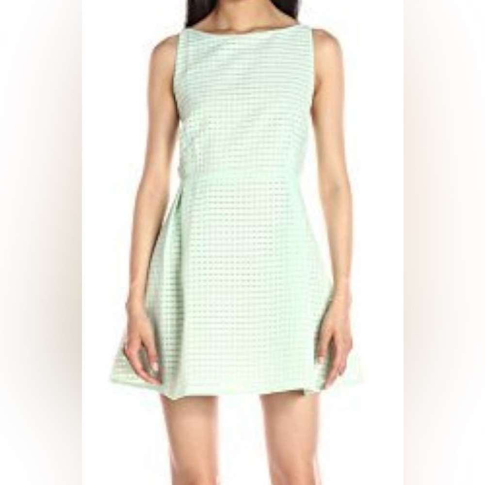Lucca Couture Organza Fit & Flare Dress  👗